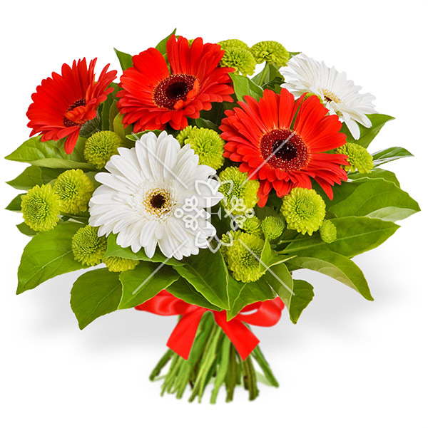 Радость моя - букет из гербер и хризантем